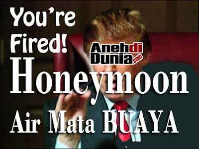 13 Asal Mula Kata yang Biasa di Ucapkan
