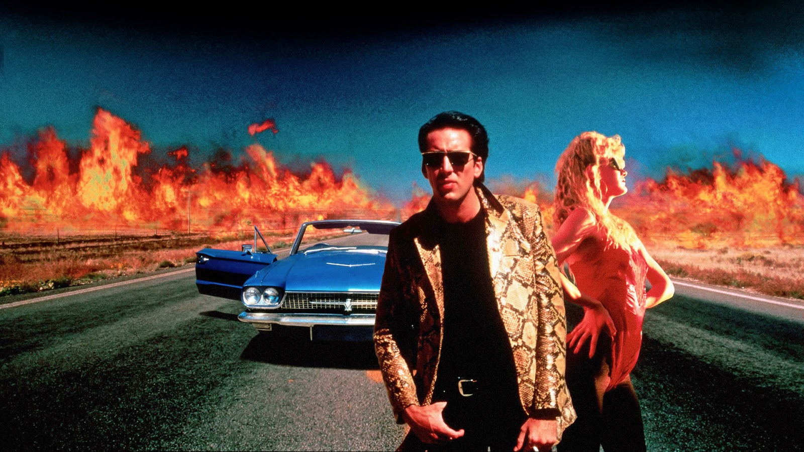 wild at heart movie where to watch wild at heart movie where to watch