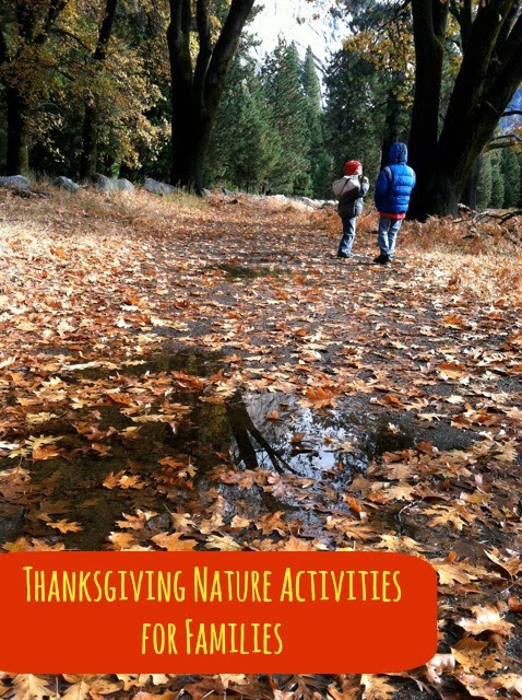 nature