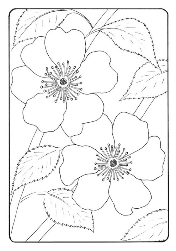 Beautiful Flowers Coloring Page For Kids title=