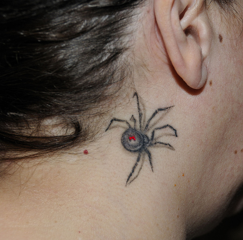 Spider Tattoo in Neck
