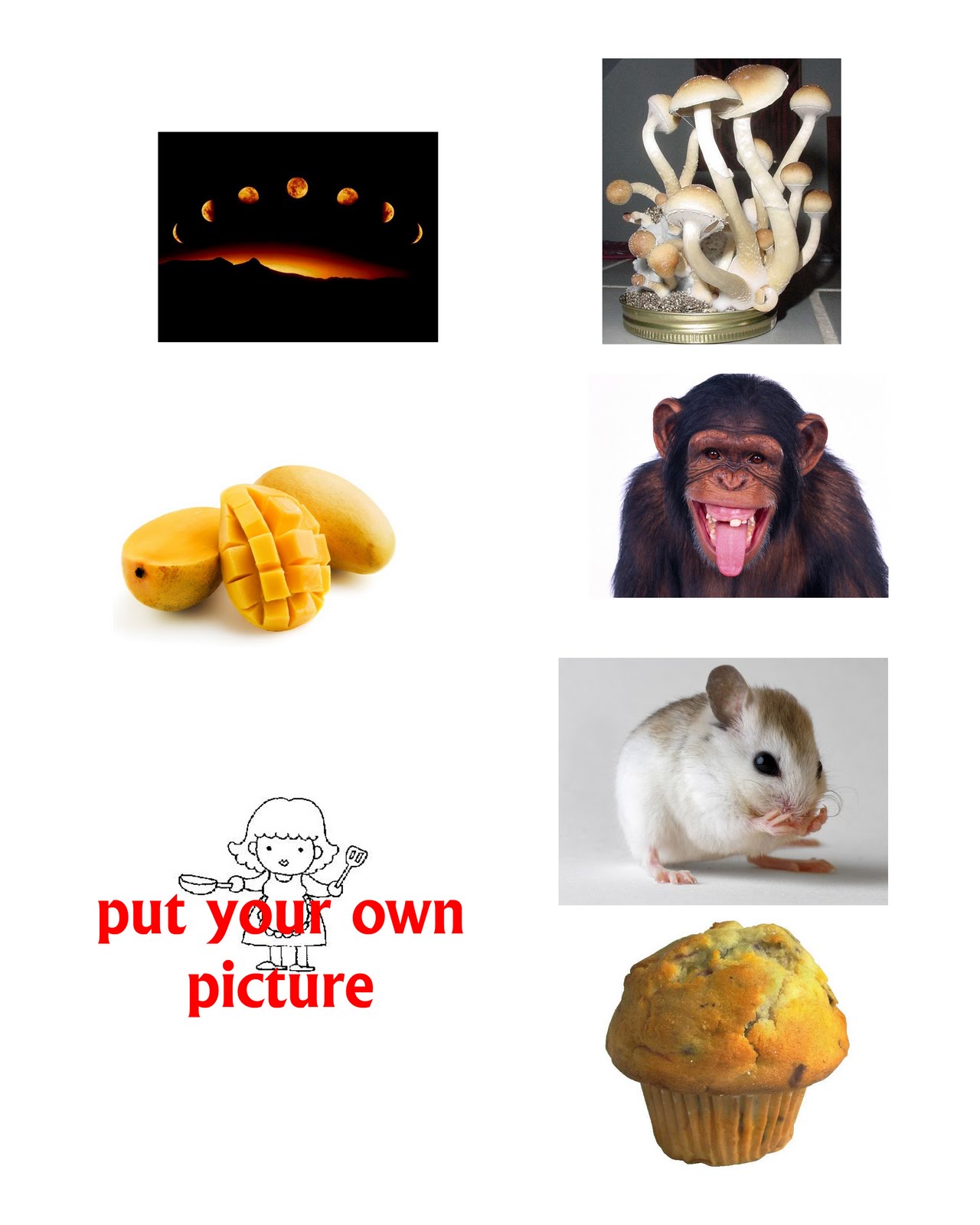 Resource: Pictures of objects start with letters A to Z | Learn The Fun Way