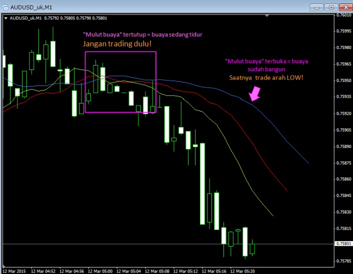 Strategi bermain binary option