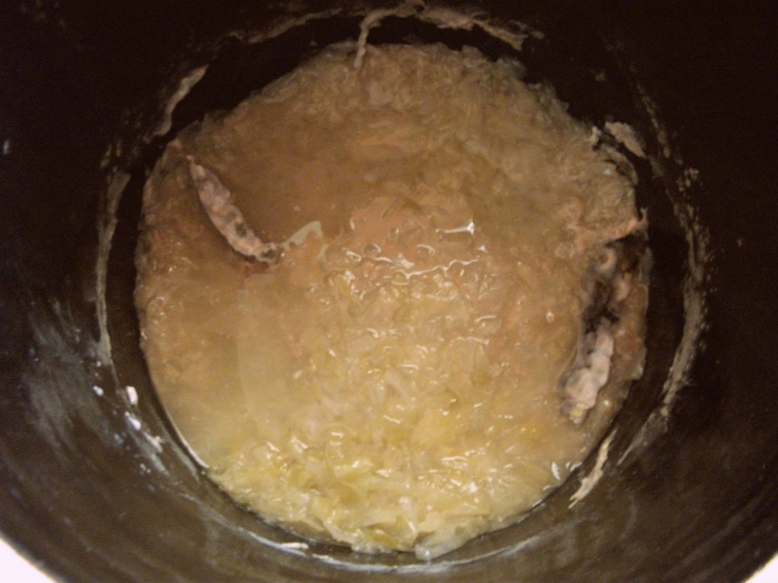 The Life of a Novice! Making Sauerkraut