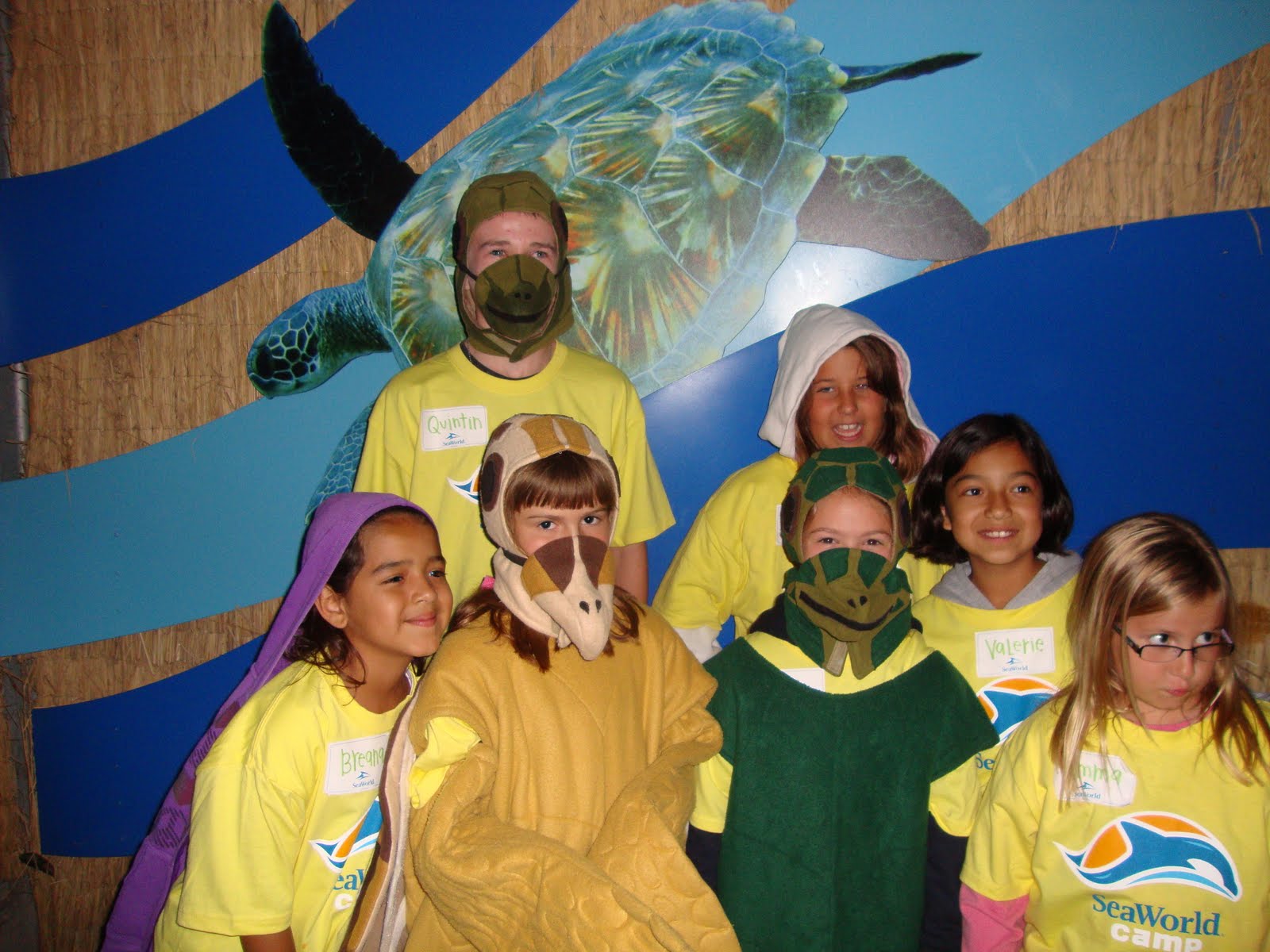 Crazy Is Only The Beginning... Sea World Girl Scout Sleepover