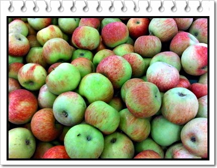 buah apel malang buah apel malang