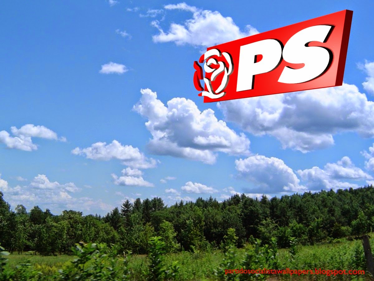 Wallpaper do Partido Socialista. Logotipo da Rosa PS lateralem fundo de tela Floresta Tropical para utilizar como fundo de tela do seu ambiente de trabalho