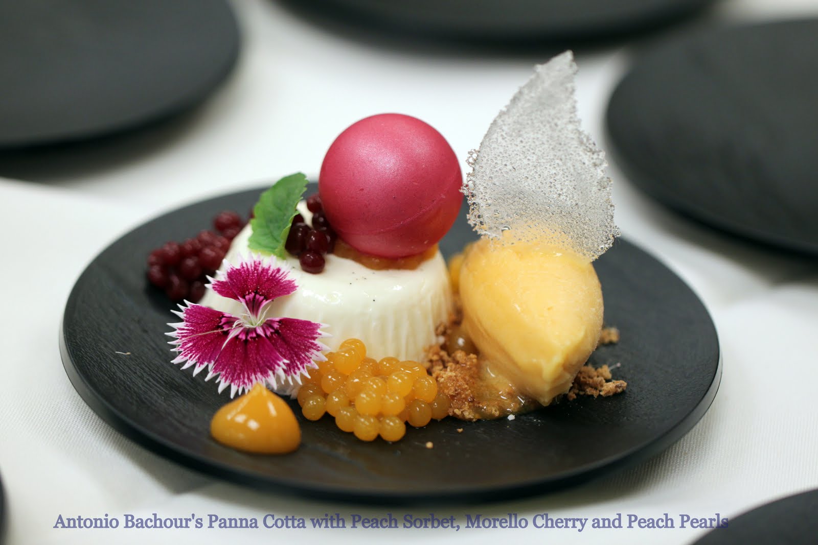 Tish Boyle Sweet Dreams The Top Ten Pastry Chefs in America 2011