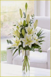 White Scented Lily Vase Delivery in Ireland White Scented Lily Vase Delivery in Ireland