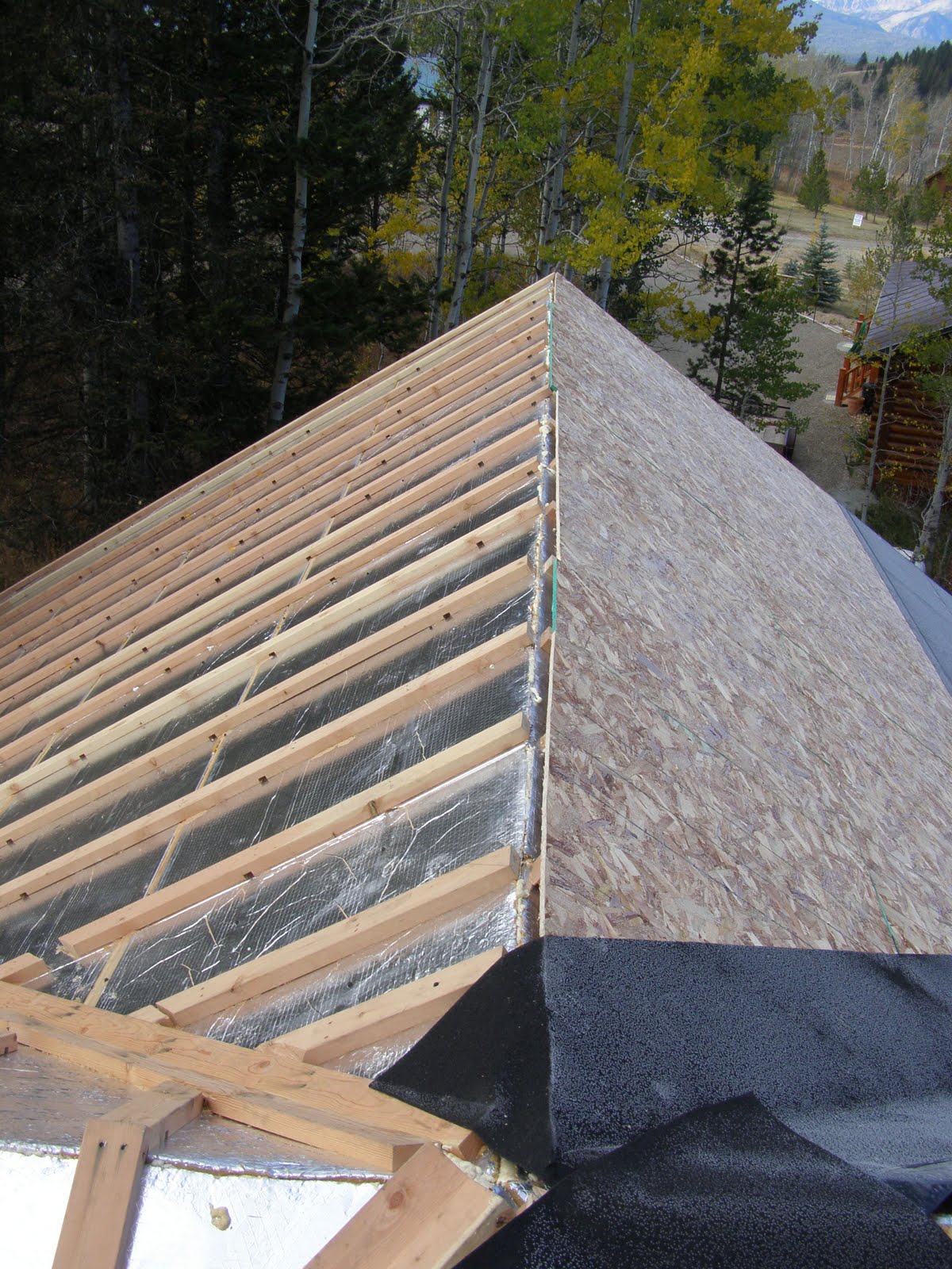 Insulated Roof Panel - Retrofit / Replacement with RAY-CORE