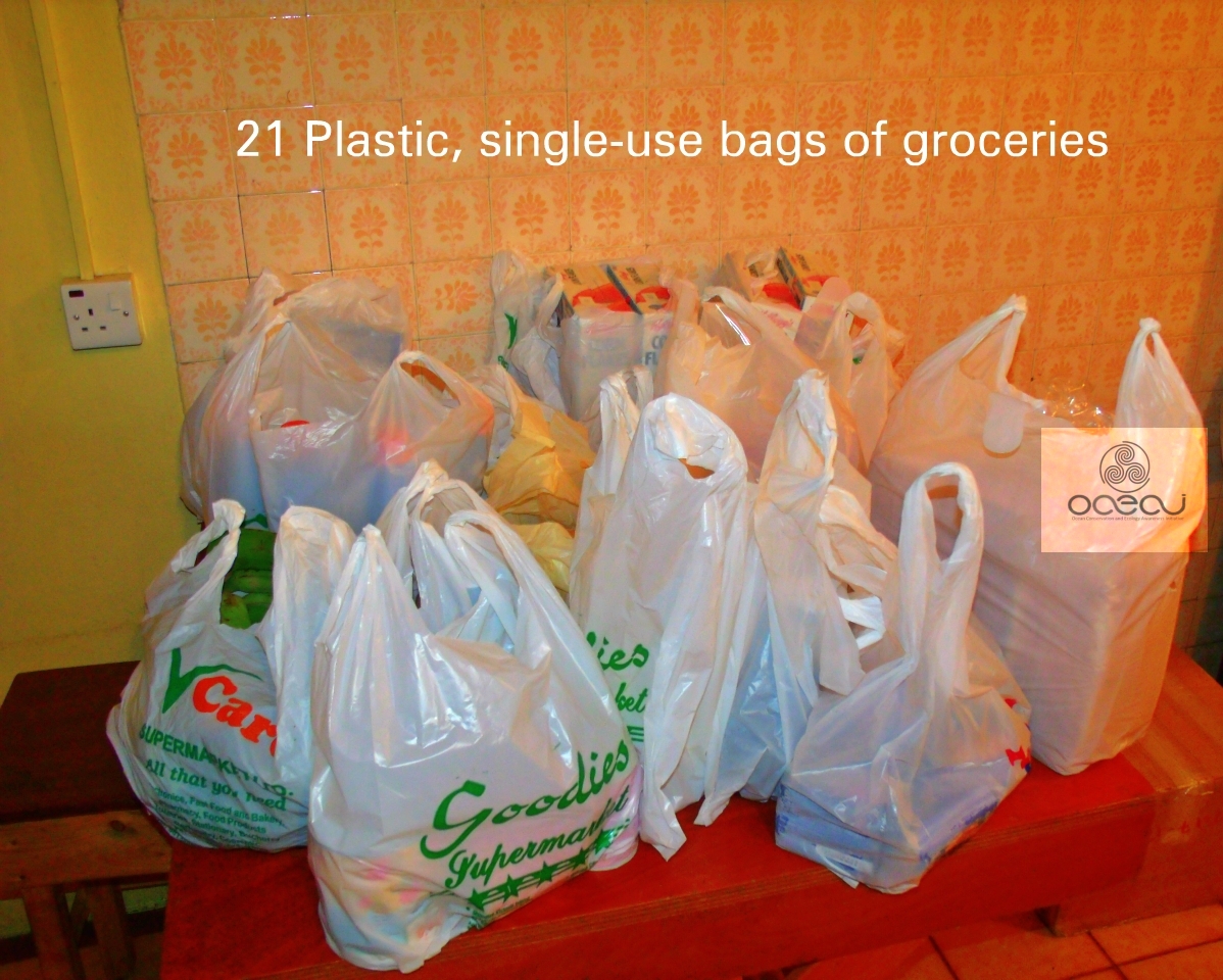 Reusable Bag Program Say No to Plastic Nigeria Reusable Bags vs