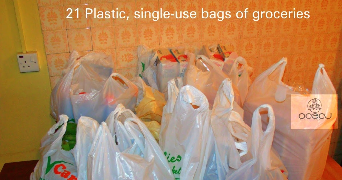 Reusable Bag Program Say No to Plastic Nigeria Reusable Bags vs