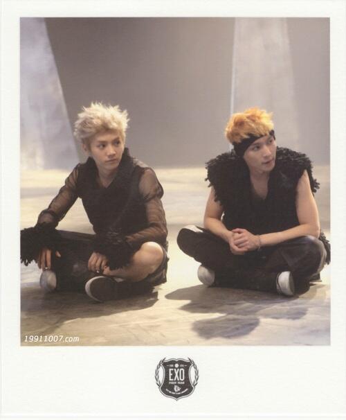 Scan Exo Everysing Polaroid Exo