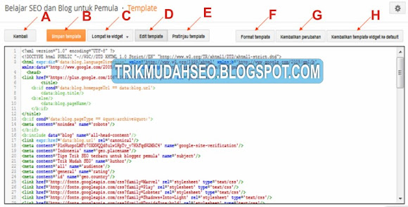 Tampilan baru dari EDIT HTML TEMPLATE BLOGSPOT