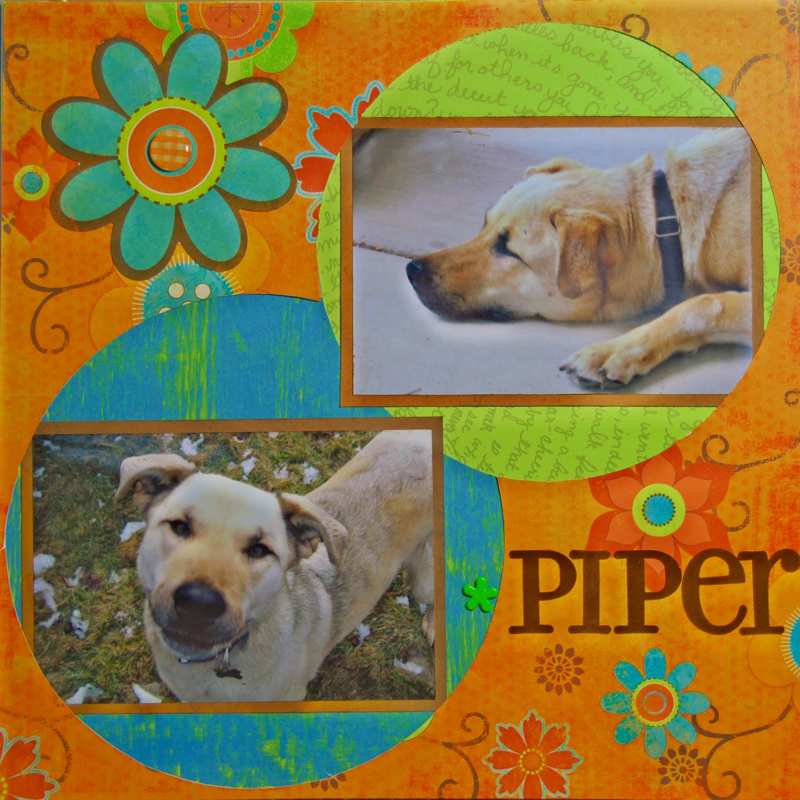 Erratic Project Junkie My Girl Piper She's So Photogenic