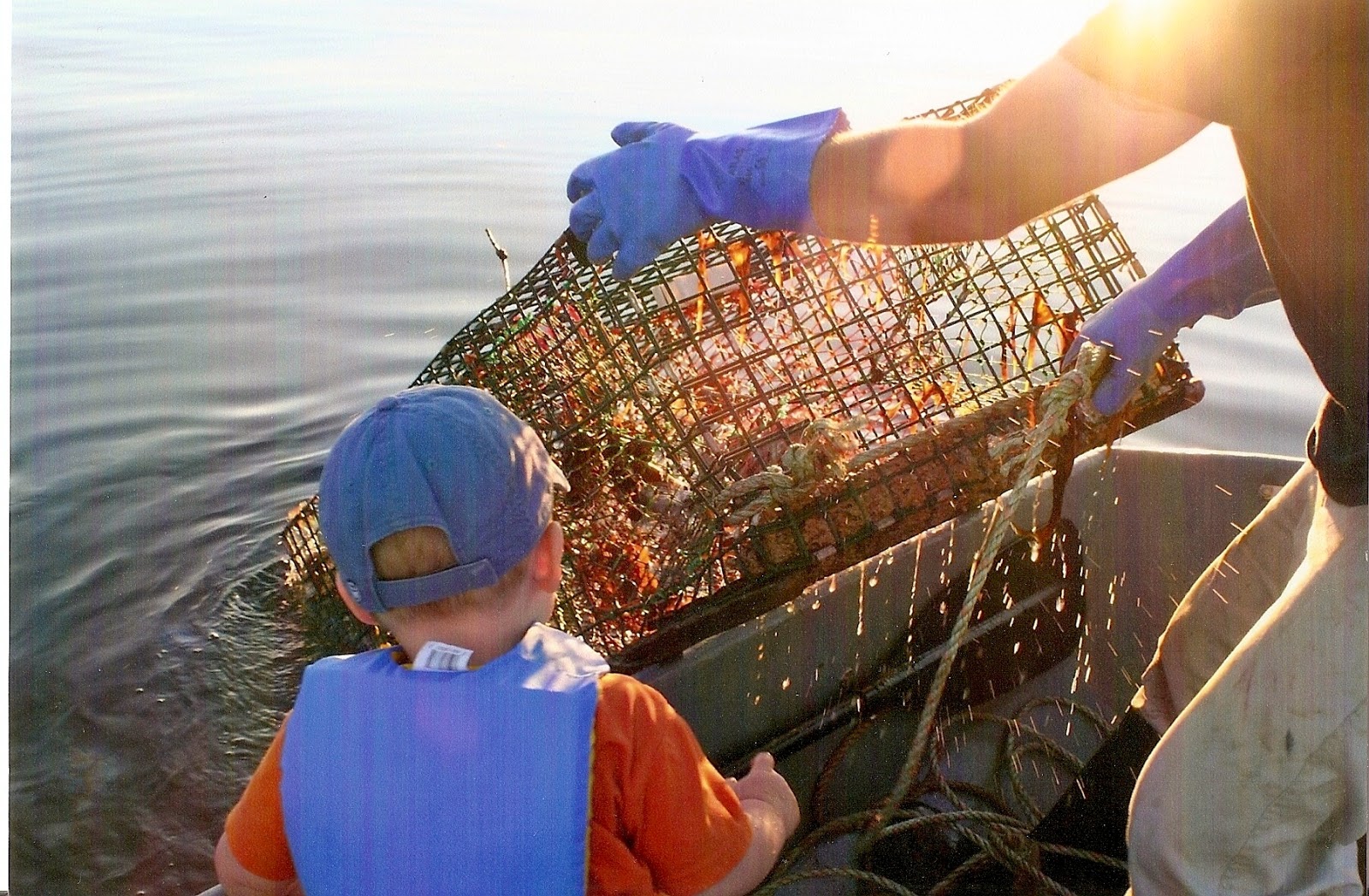 Father Son Lobster Fishing