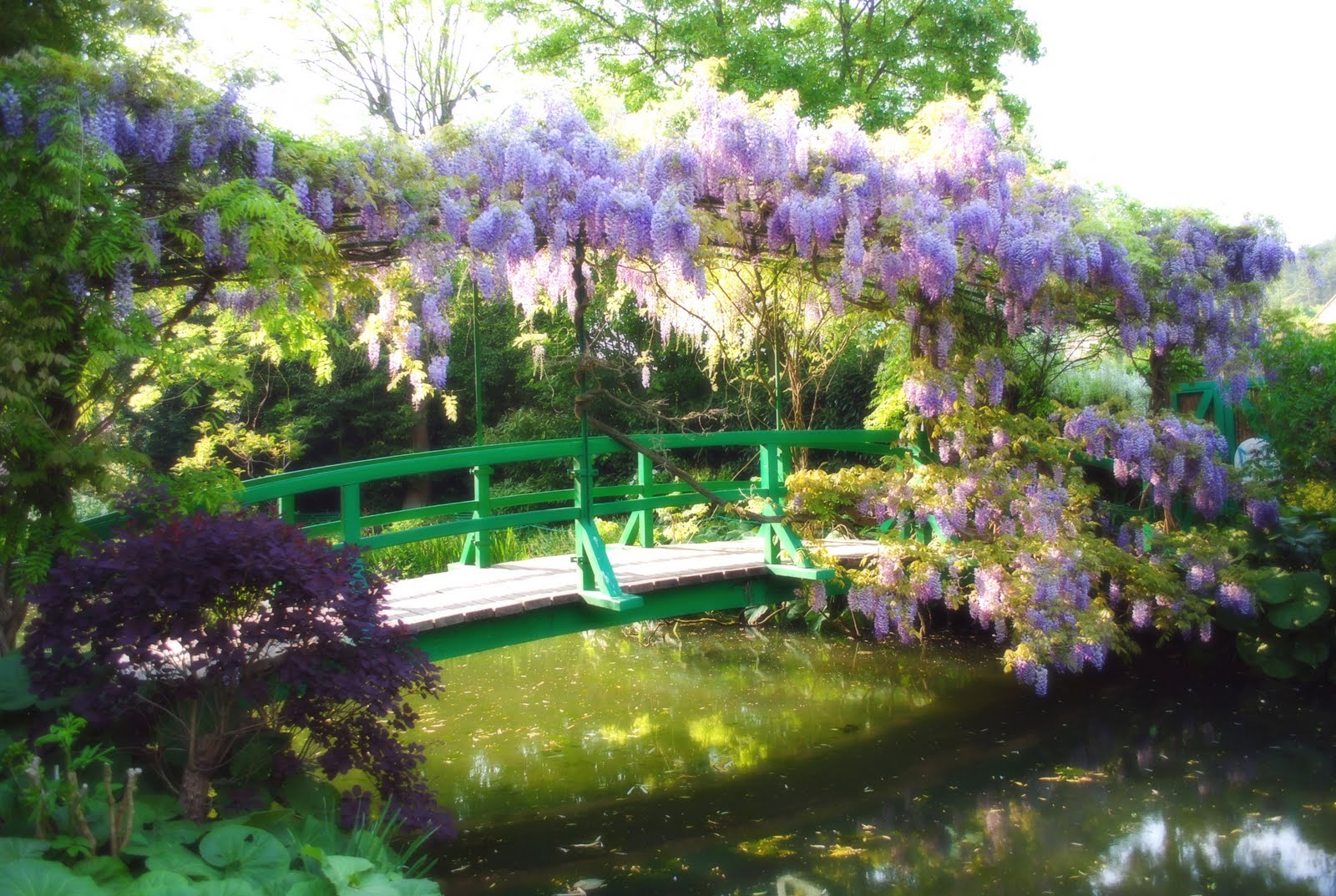 Di qua e di la: il giardino di claude monet giverny in normandia ... Parco delle ninfee