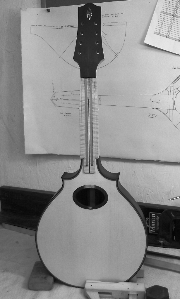 A Luthier's Blog Fitting a mandolin neck... and more!