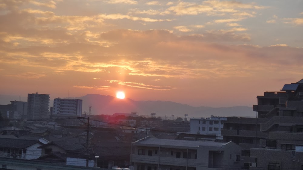ガリラボ通信 日の出と共に