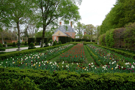 Juniper Hill: The Featured Garden- The Gardens of Colonial Williamsburg