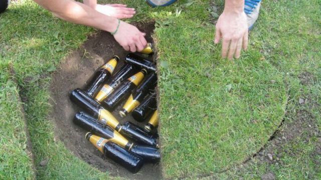 MegaPost de imágenes raras 6 MegaPost de imágenes raras 6