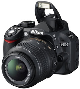 Nikon D3100 14.2MP, click image