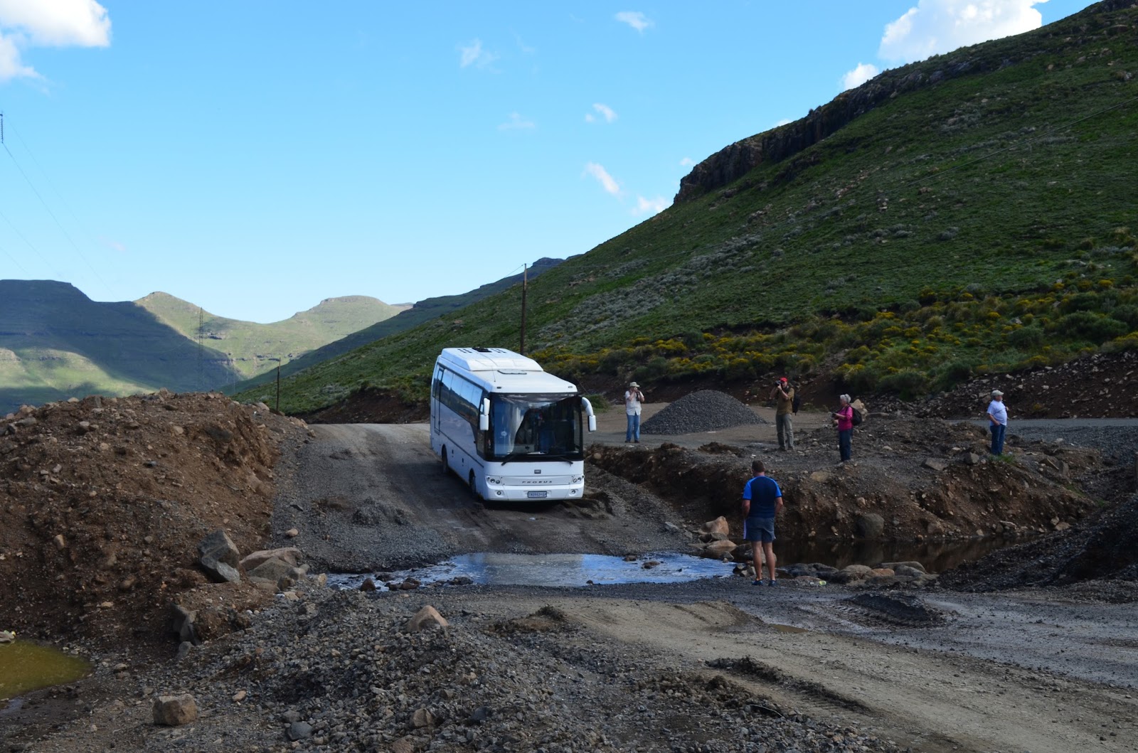 Skyview Succulents Oxbow