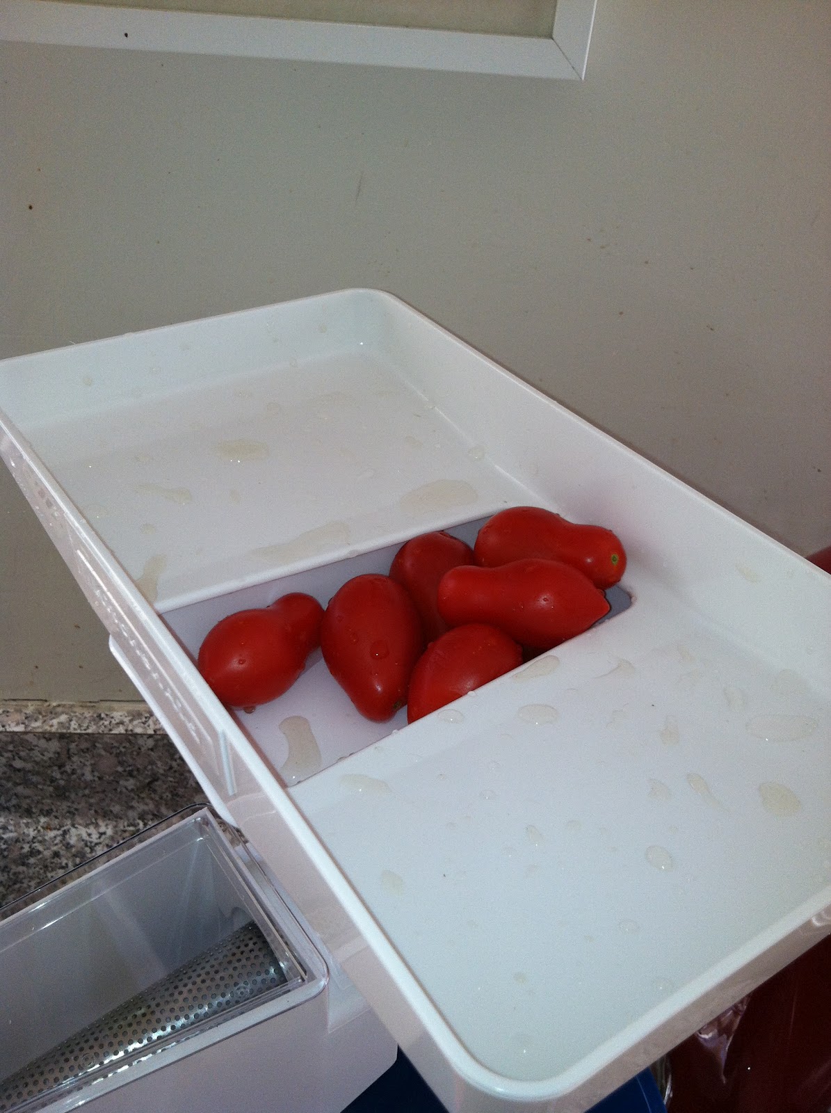 The Curried Cook Homemade Tomato Sauce with the KitchenAid