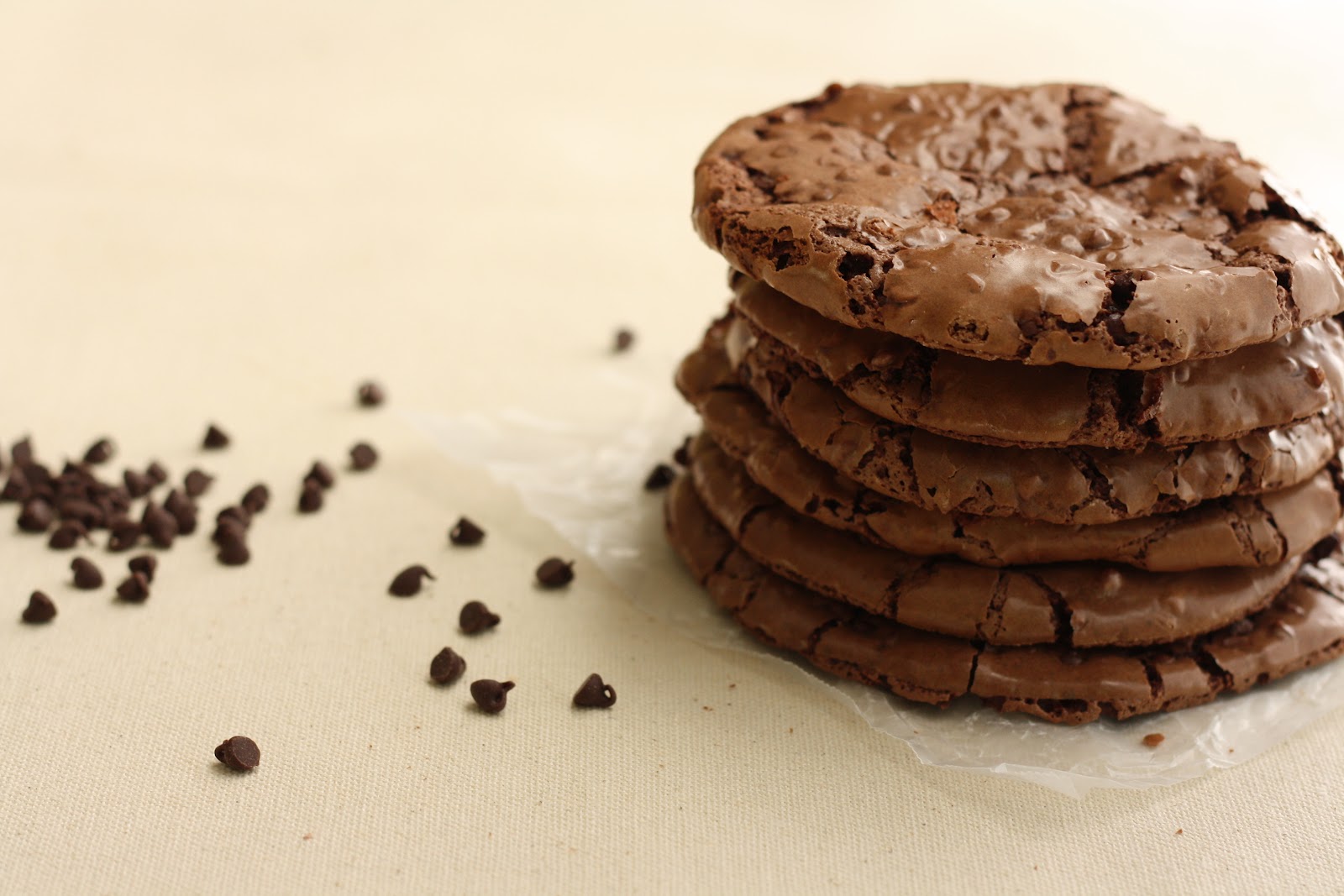 Double Chocolate Cookies hummingbird high a desserts and baking blog