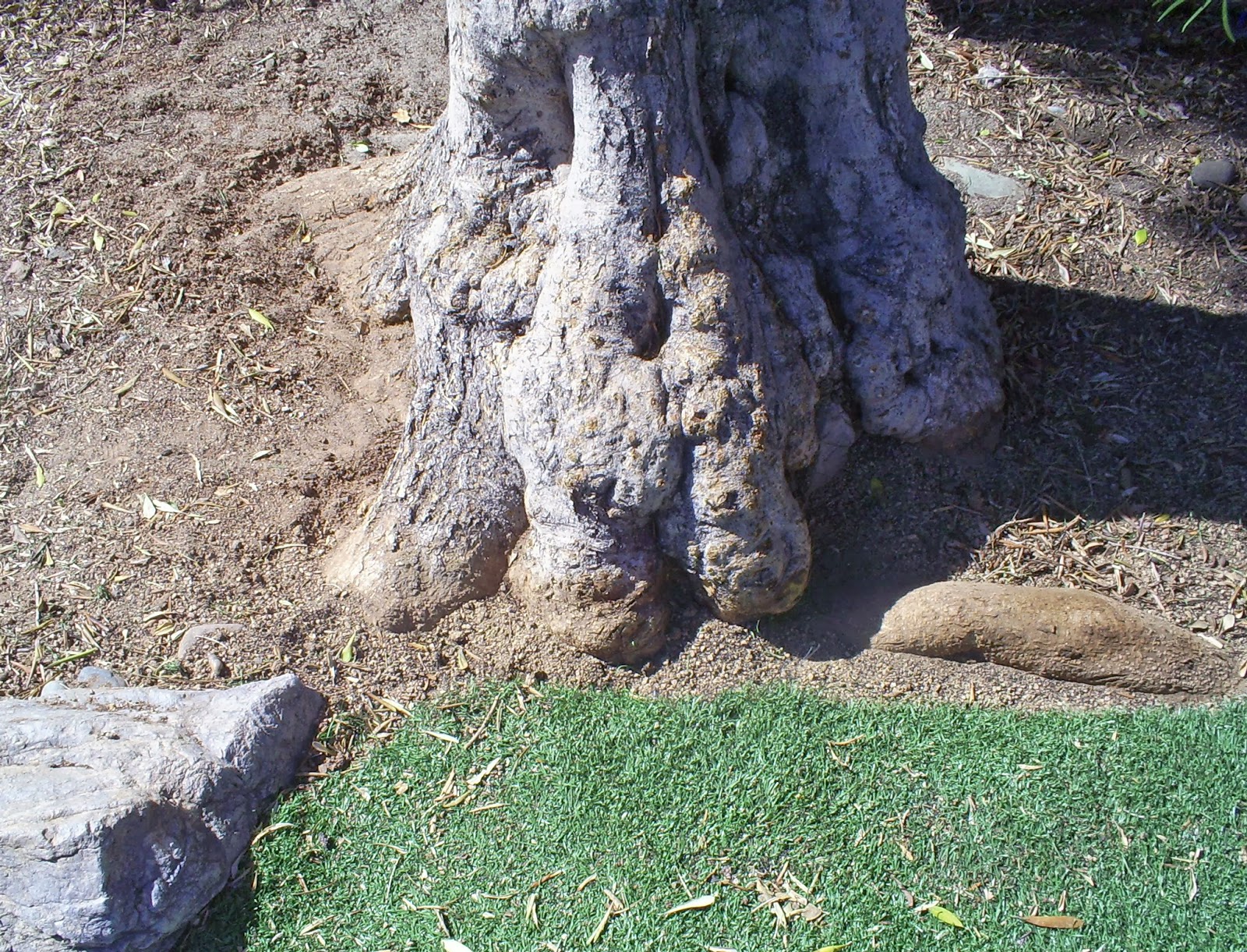 Brad's Tropical Paradise Trimming artificial grass around the base of