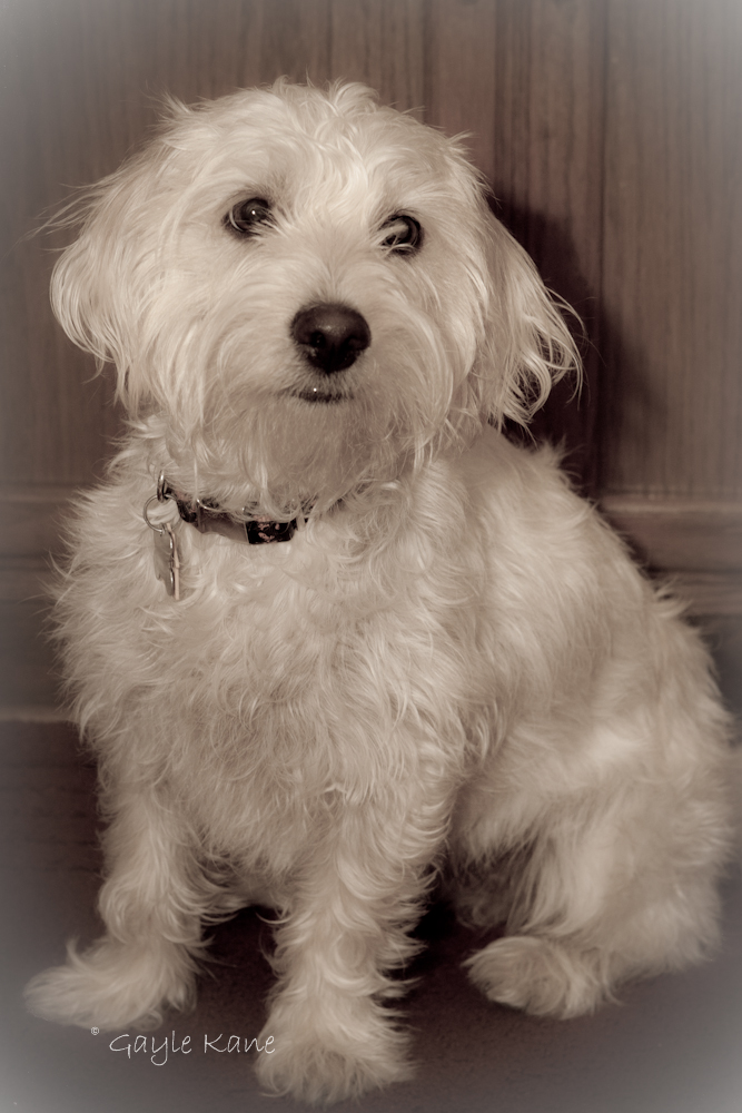 GiGi K Photography: Blog