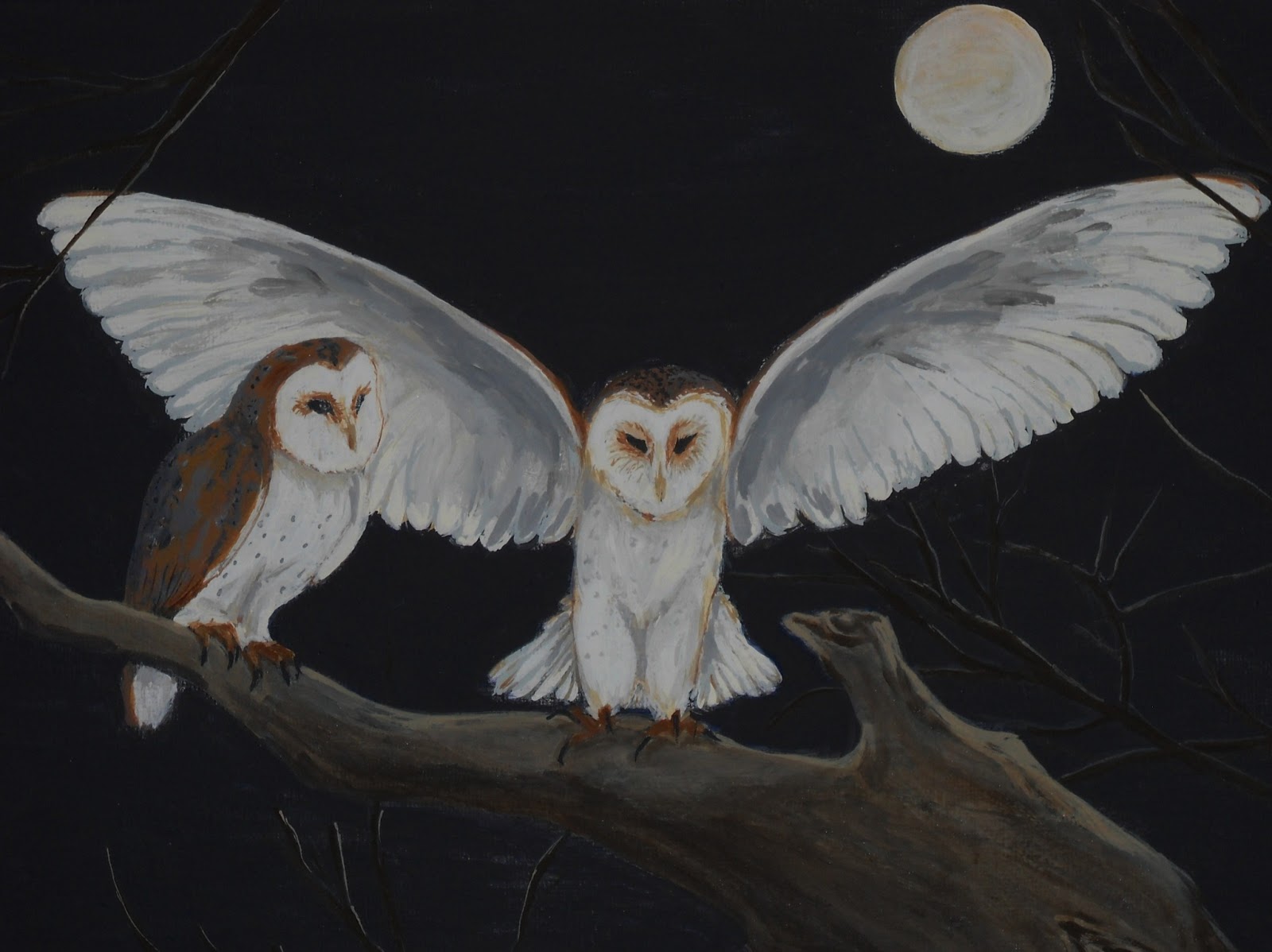 Night Owls by Doreen Stopczynski Daily Painters International Art Gallery