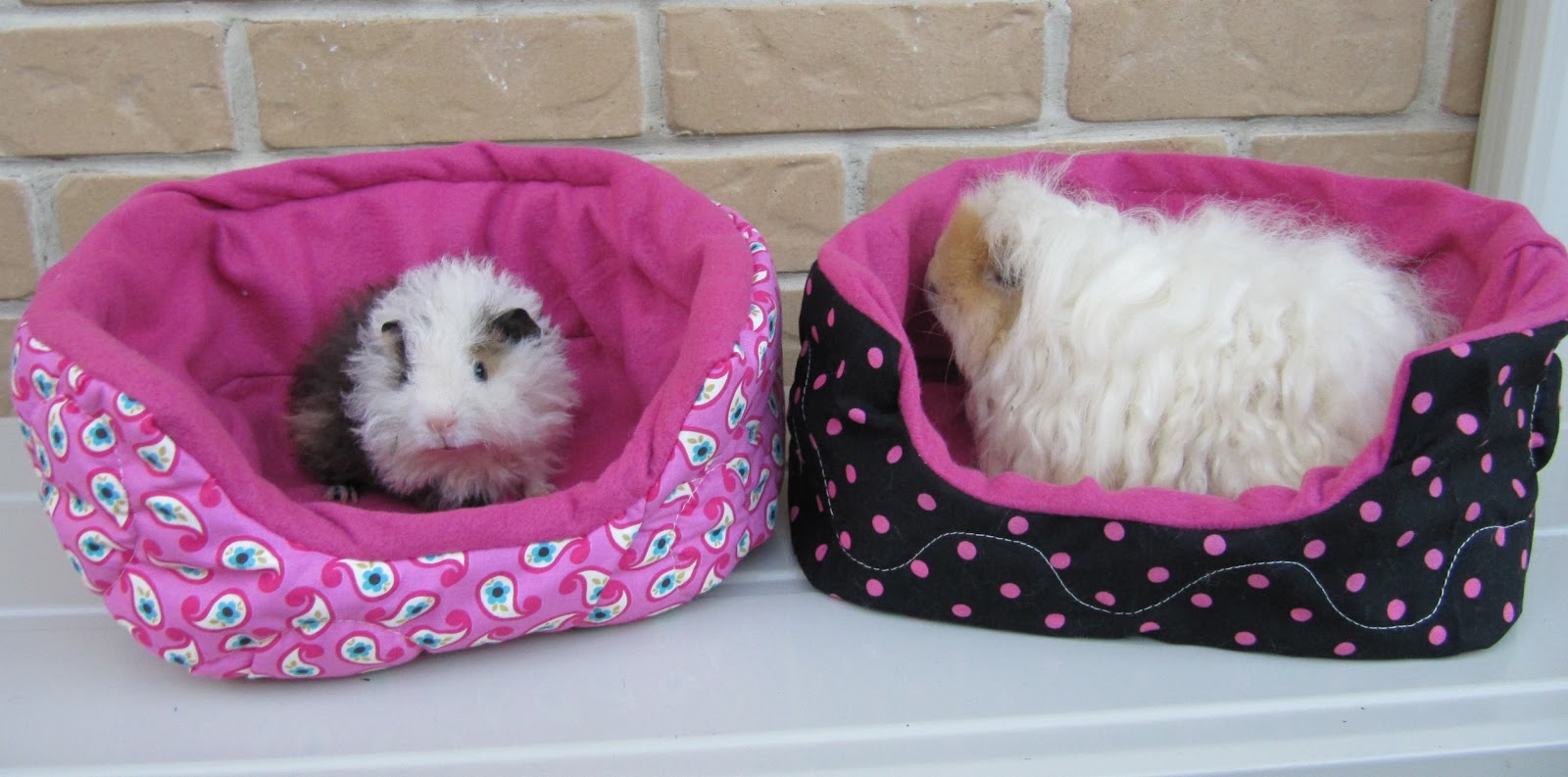 All Things Guinea Pig Cuddle Sacks