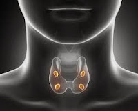 atamiento de cancer de tiroides, tratamiento de tiroides, cancer tiroides, síntomas cáncer de tiroides, sintomas cancer tiroides,