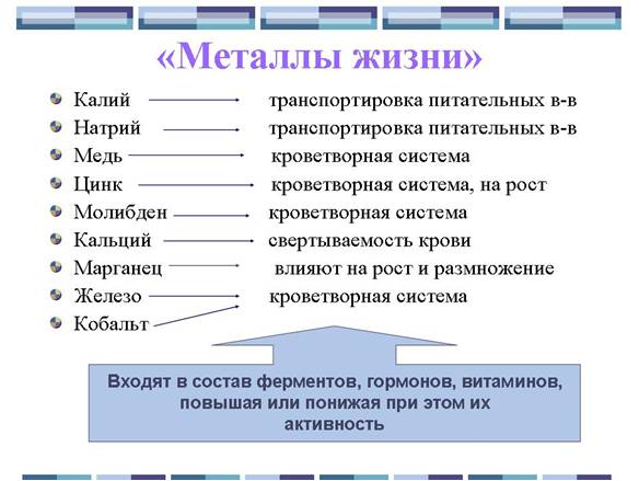 Проект металлы в жизни человека