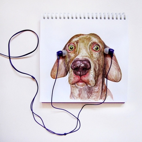 12-I-dont-Like-this-Music-Valerie-Susik-Валерия-Суслопарова-Cats-and-Dogs-Interactive-Animal-Drawings-www-designstack-co