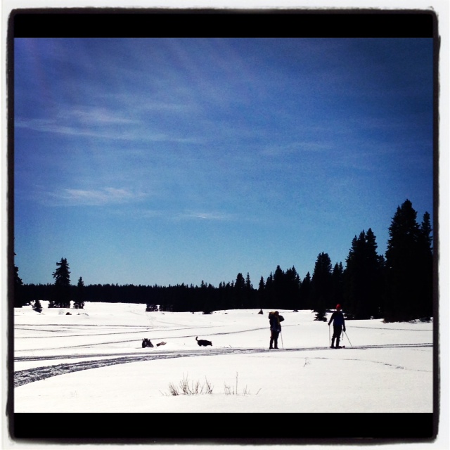 Snowshoeing the Grand Mesa Just a Colorado Gal