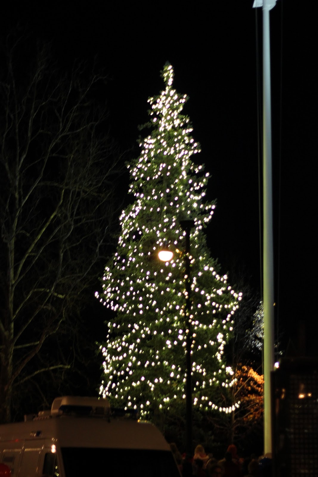 concord button downs concord ma christmas tree lighting christmas lights concord ma