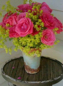 Hot pink Roses & Lady's Mantle