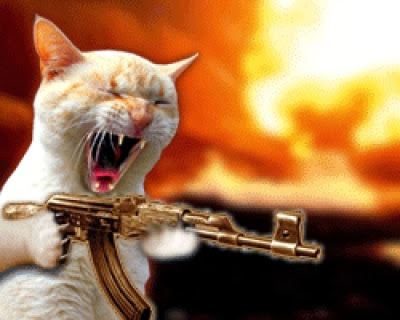 funny%2Bcats%2Bwith%2Bmachine%2Bguns-1.j
