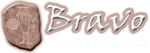 Bravo Bushcraft, Sobrevivência e Atividades ao ar livre