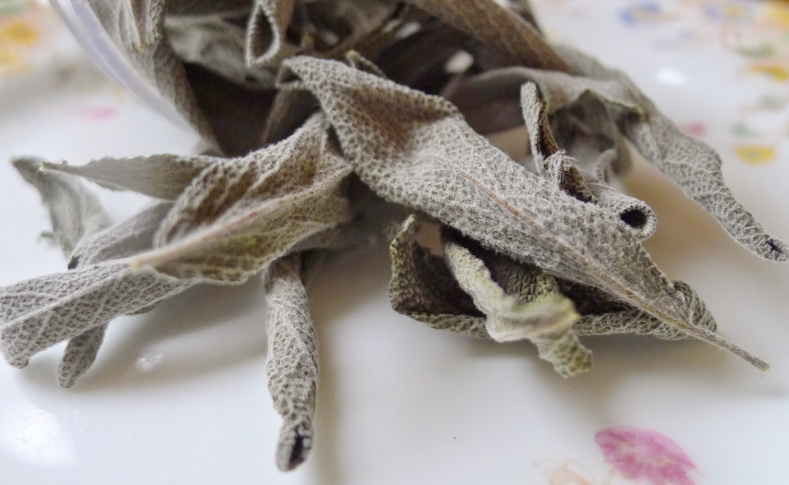 dehydrated sage, preserving herbs