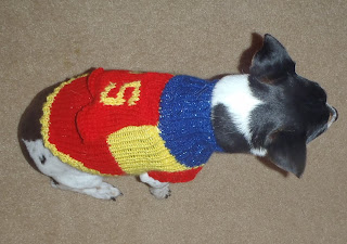 How to Knit a Super Dog Sweater