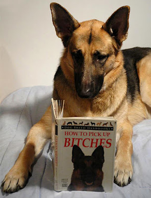 Perro leyendo