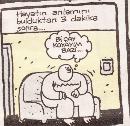 Resim
