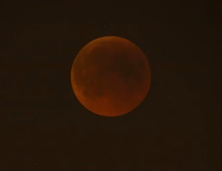 Lunar Eclipse 2011 Picture|Lunar Eclipse 2011 Photo