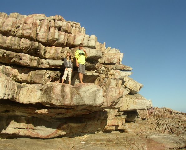 climbing-rocks-for-bearded-dragon.jpg