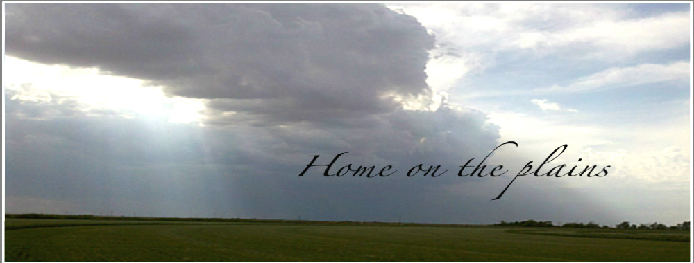 Home on the plains