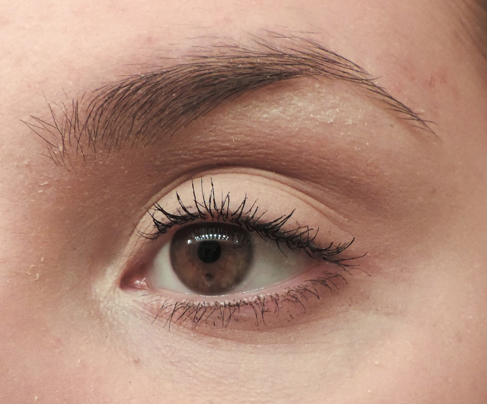 Simple Charm Beauty: Ulta Brow Expert Light