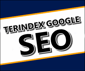 SEO SEO